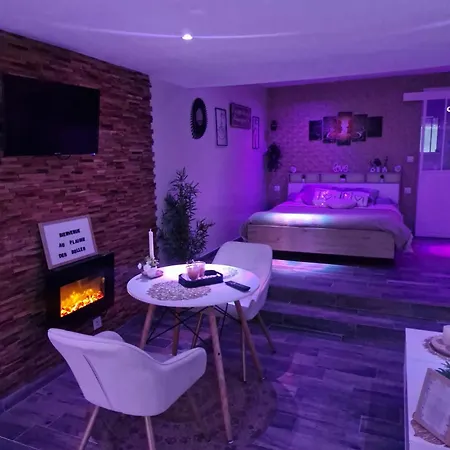 Romantique Avec Jacuzzi Privatif Escapade à Deux Couette-café Westrehem